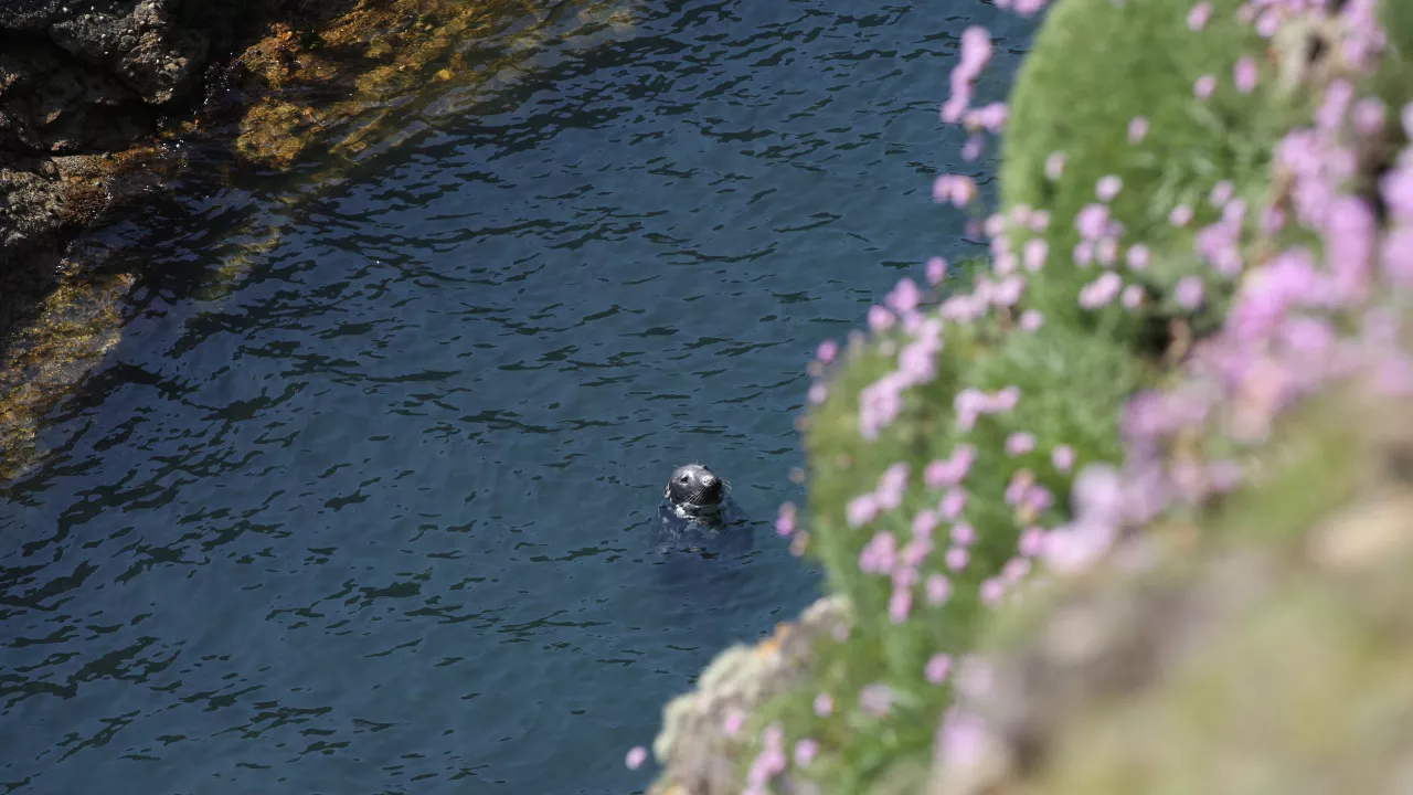 TRAILNorthWalesPilgrimsWay(©crowncopyright2020)1