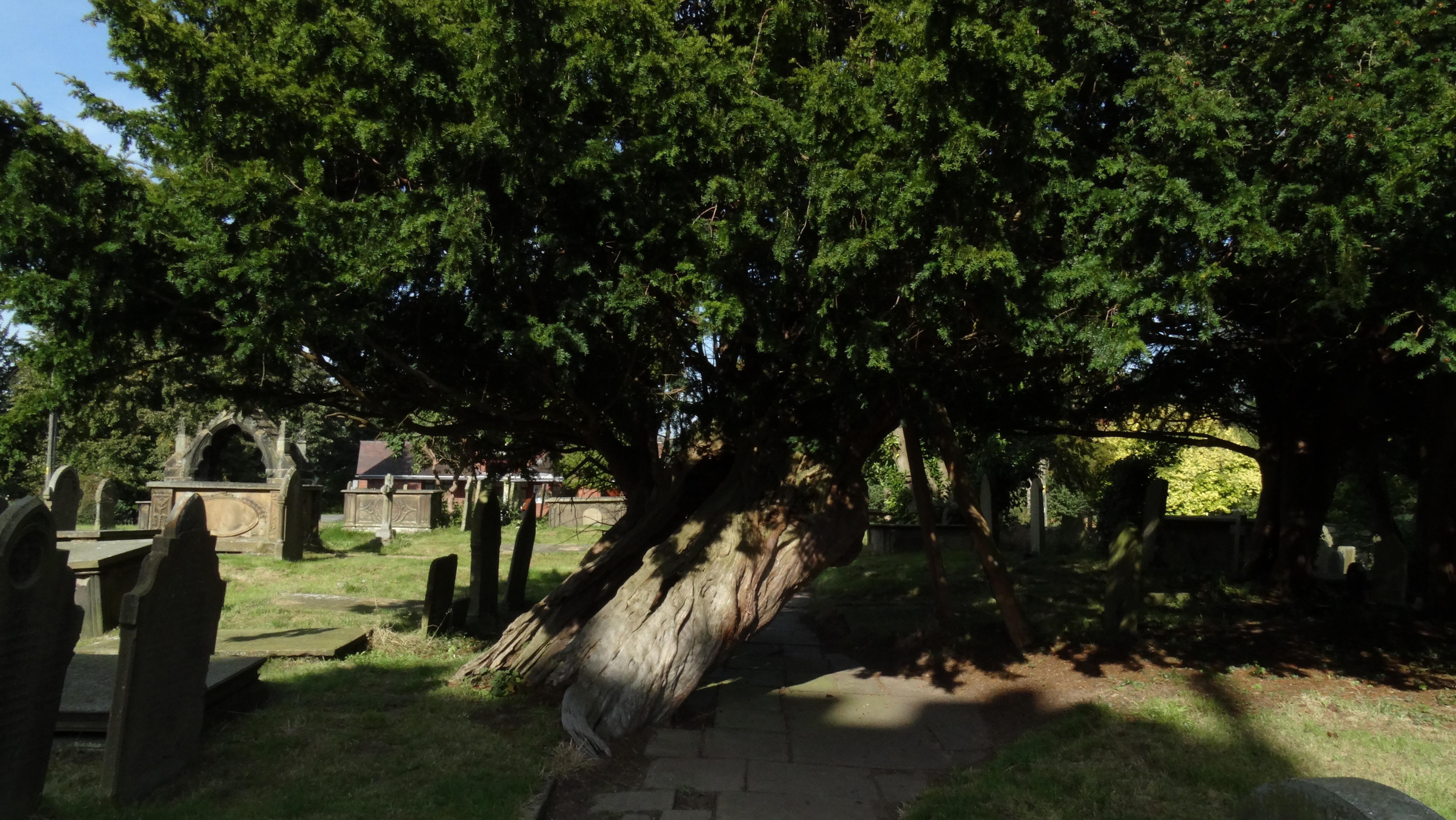 CheshireASTBURYStMary(colinparkCC-BY-SA2.0)1