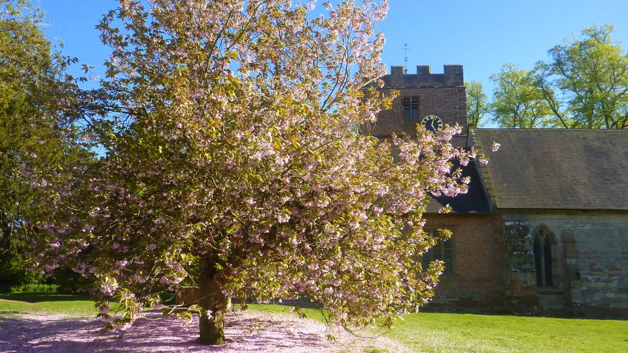 WorcestershireHANLEYCASTLEStMary(mikefinnCC-BY-2.0)1