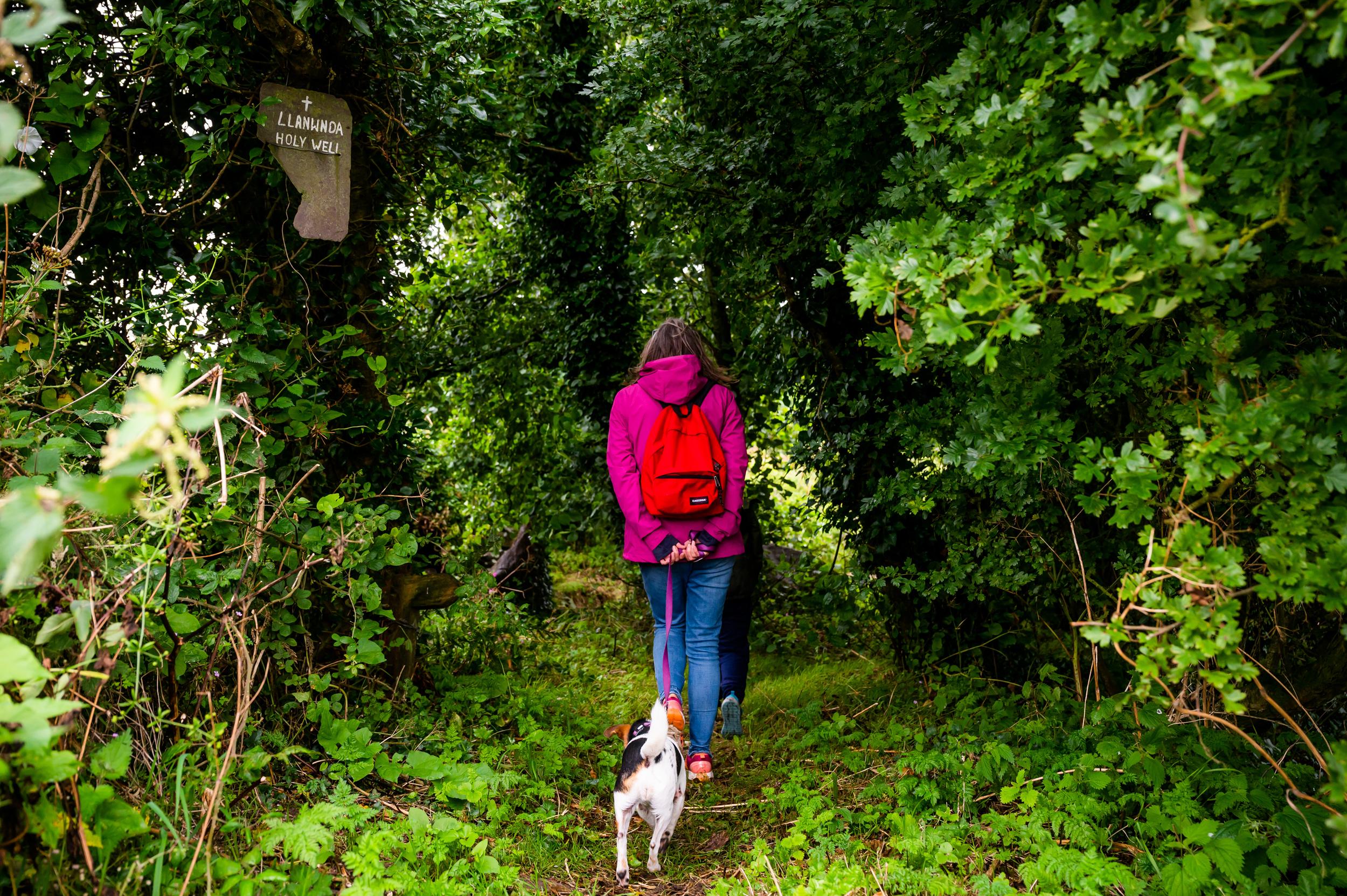 TRAILGreatWelshChurchWalks(explorechurches.org)3