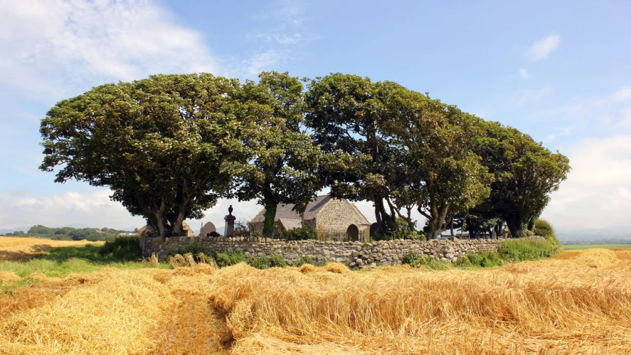 GwyneddLLANFAGLANStBaglan(jeffbuckCC-BY-SA2.0)1