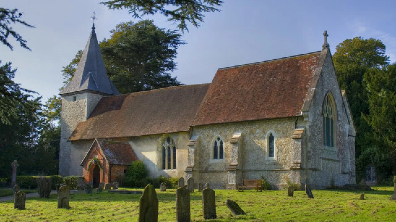 HampshireFARRINGDONAllSaints(hackbitzCC-BY-SA2.0)1