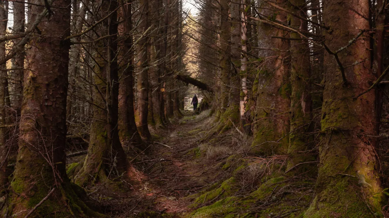 TRAIlFaithInCowalAuchnaha(©subtlesensor2019)2