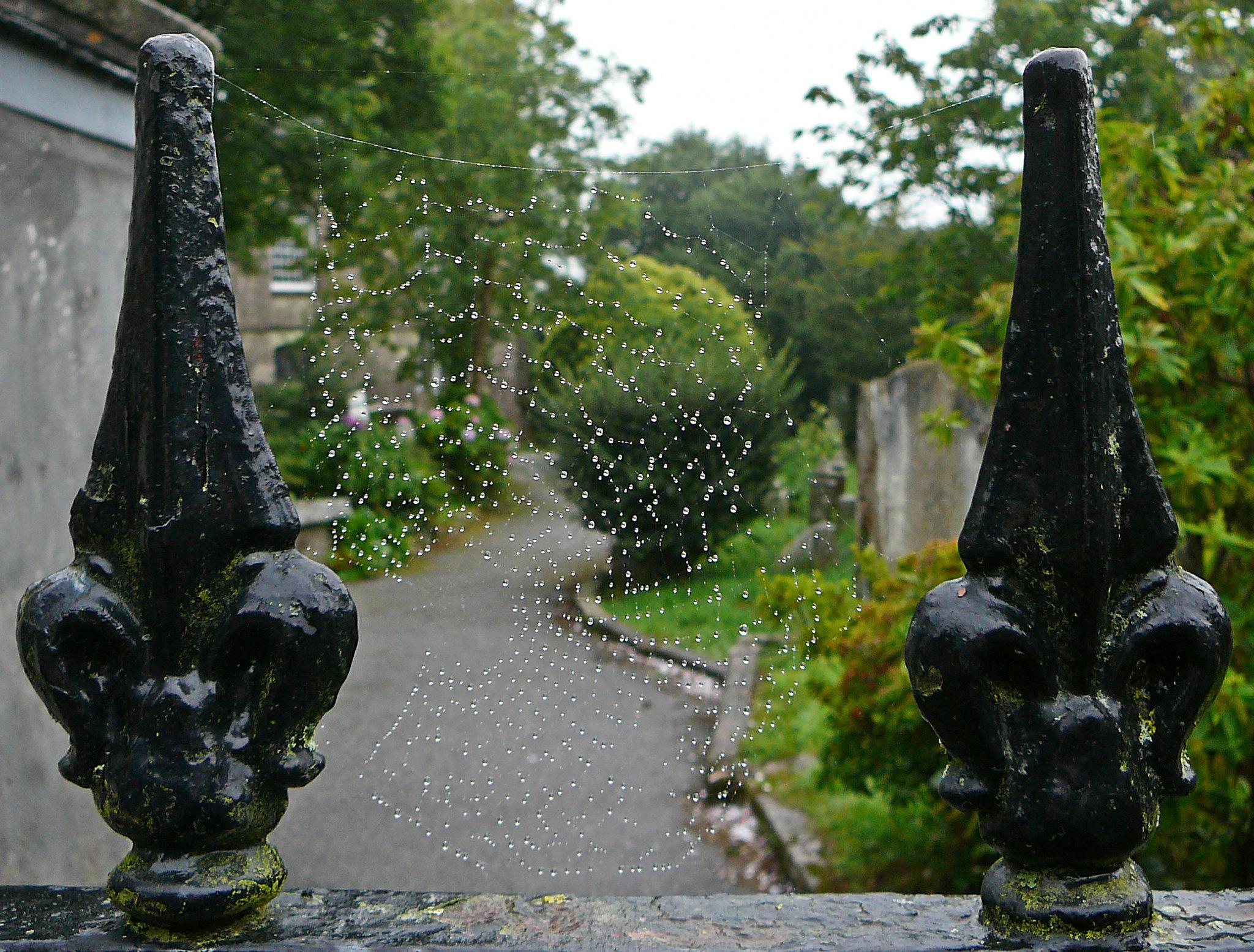 CornwallREDRUTHStEuny(timgreenCC-BY-2.0)1