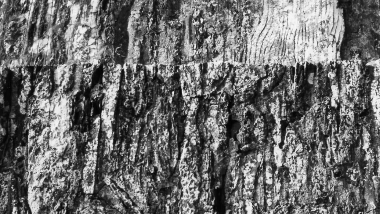 CornwallSTTUDYStTudy(sludgegCC-BY-SA2.0)1