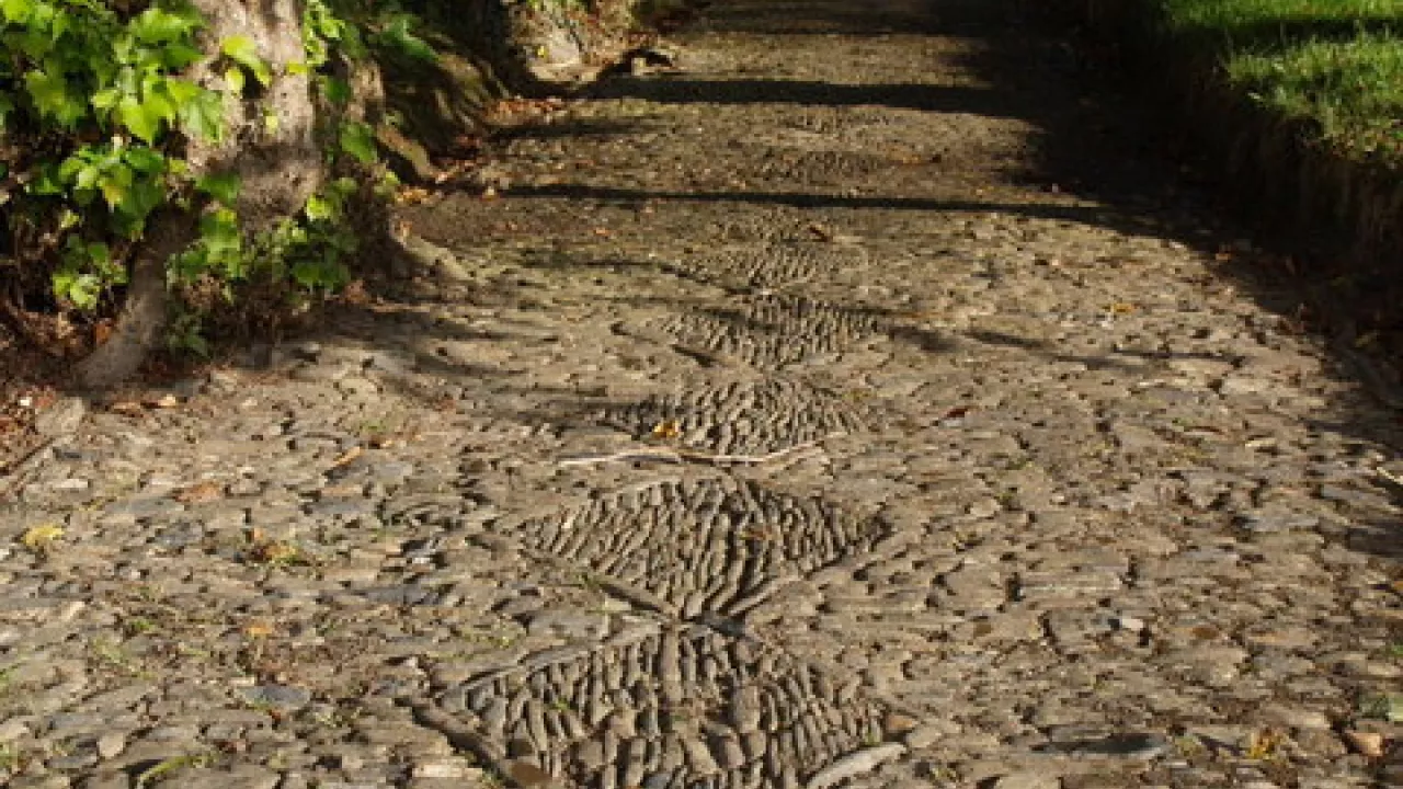 DevonMEETHStMichaelAllAngels(derekharperCC-BY-SA2.0)1