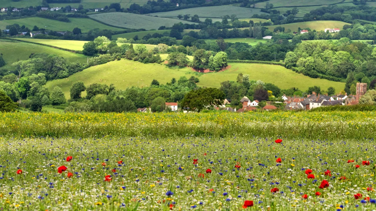 SomersetSTOGUMBERBlessedVirginMary(alisondayCC-BY-ND2.0)1