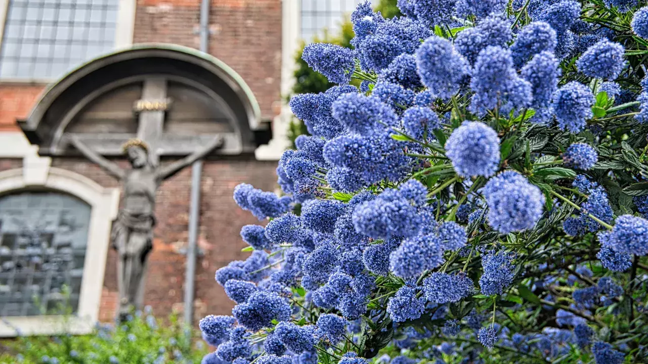 GreaterLondonCITYOFLONDONStAndrewWardrobe(geoffhensonCC-BY-ND2.0)2