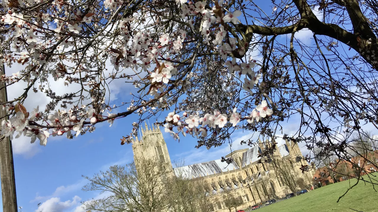 YorkshireBEVERLEYBeverleyMinster(sarahcrosslandSTAFF)1
