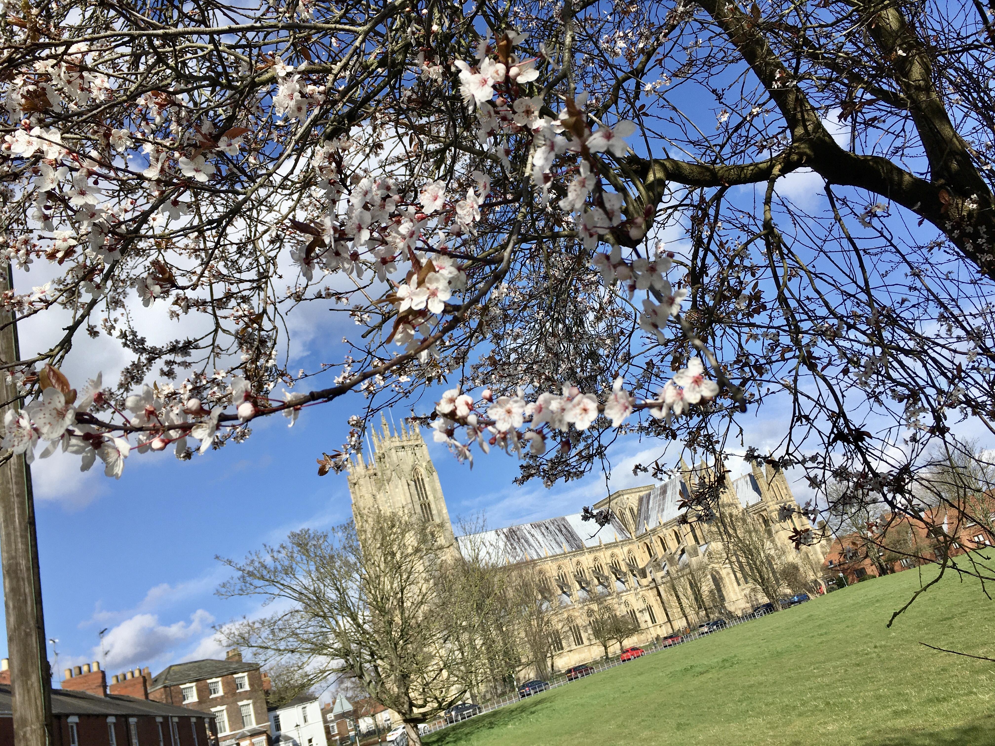 YorkshireBEVERLEYBeverleyMinster(sarahcrosslandSTAFF)1