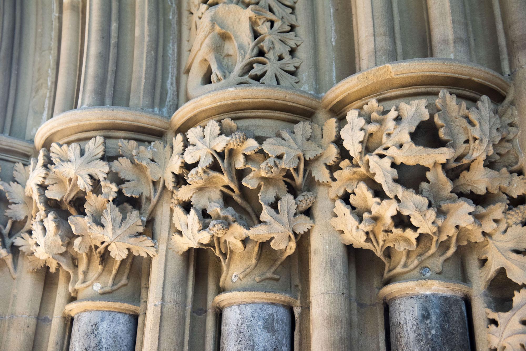 Photo of foliated capitals at Southwell