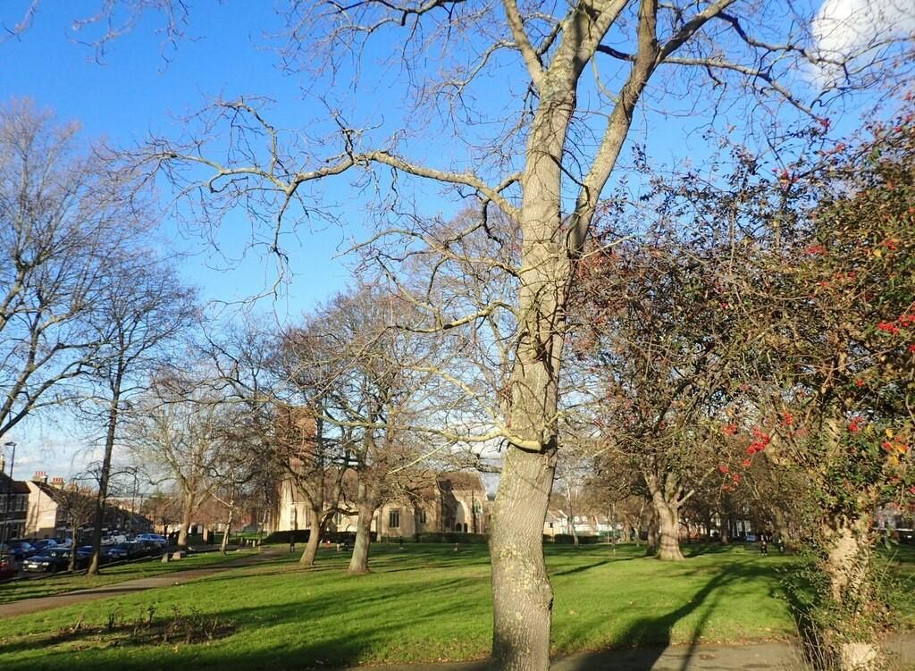 GreaterLondonPLUMSTEADStNicholas(teresaaginPERMISSIONBYEMAIL)1