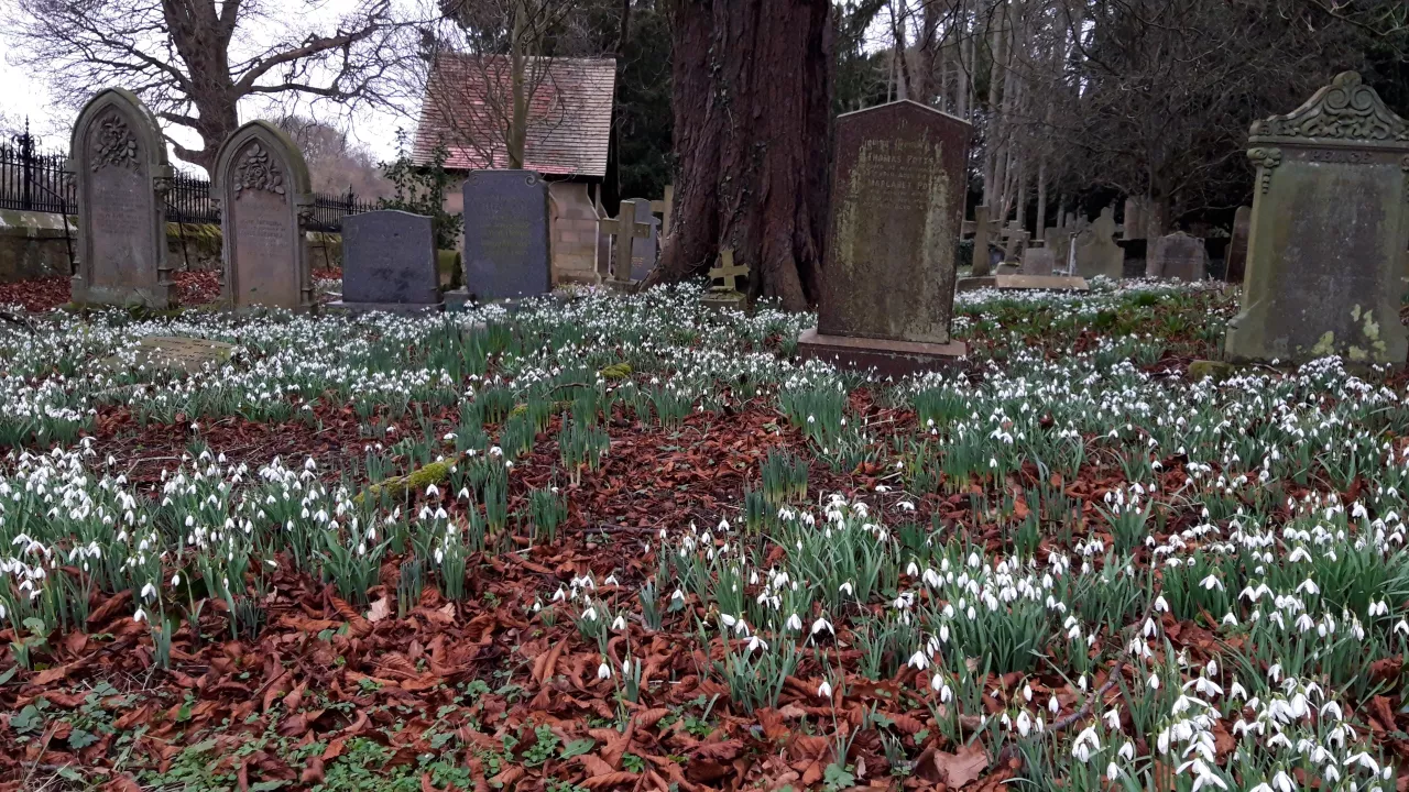NorthumberlandMITFORDStMaryMagdalene(annchapmanPERMISSIONBYEMAIL)1