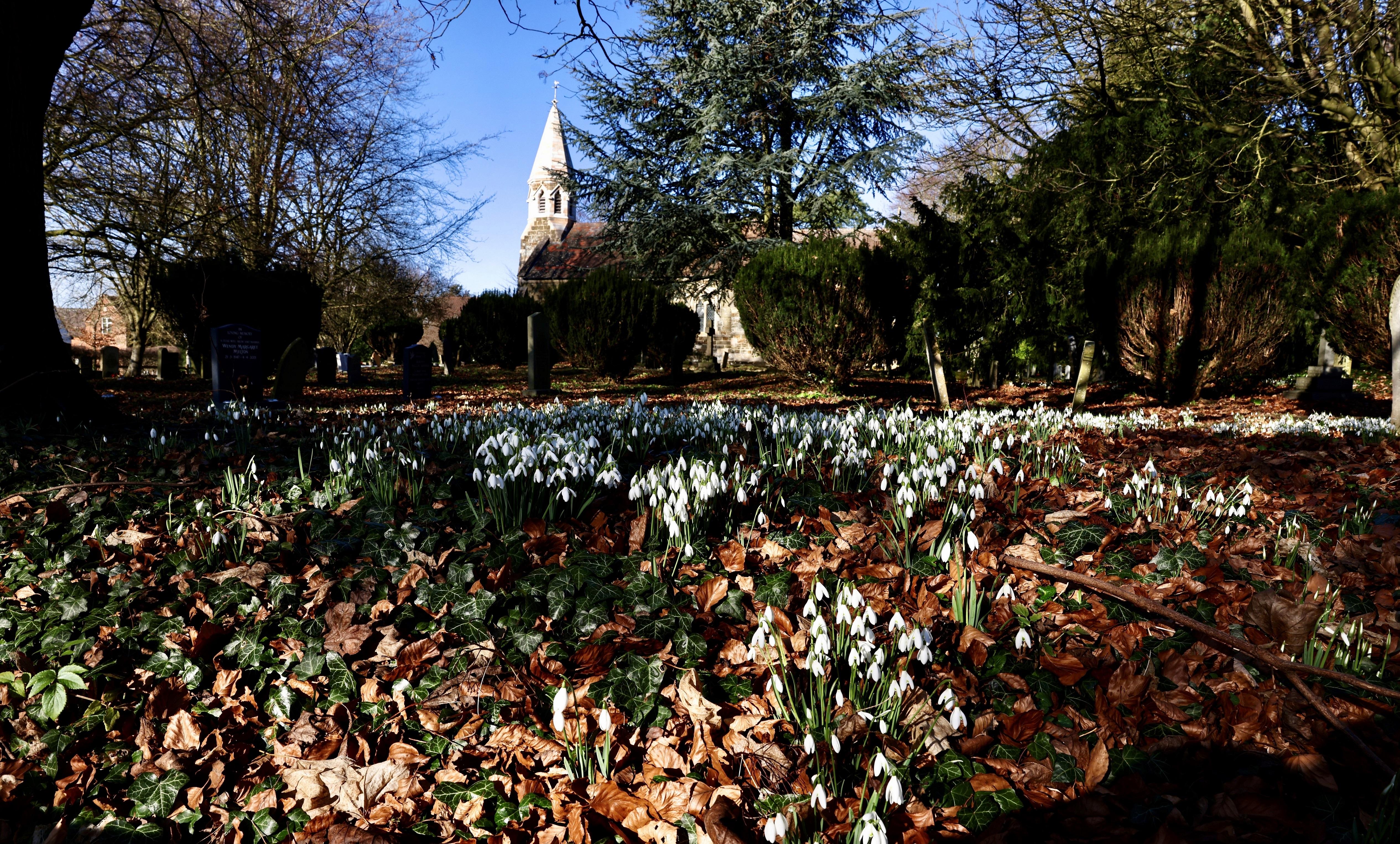 LincolnshireTHIMBLEBYStMargaret(davidbeePERMISSIONBYEMAIL)1