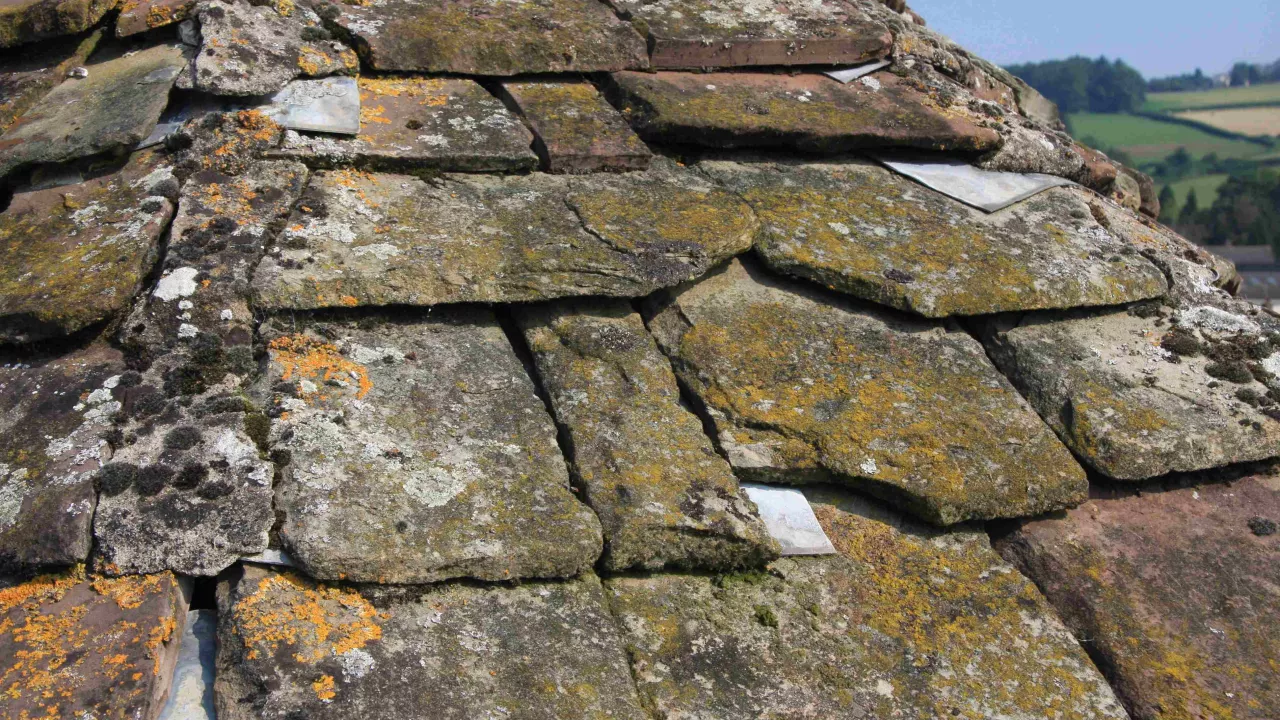 MonmouthshireSTARVANStArvan(davidpriddisPERMISSIONBYEMAIL)4