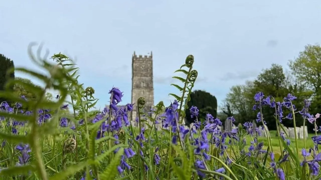 CornwallSOUTHHILLStSampson(judithayersPERMISSIONBYEMAIL)1