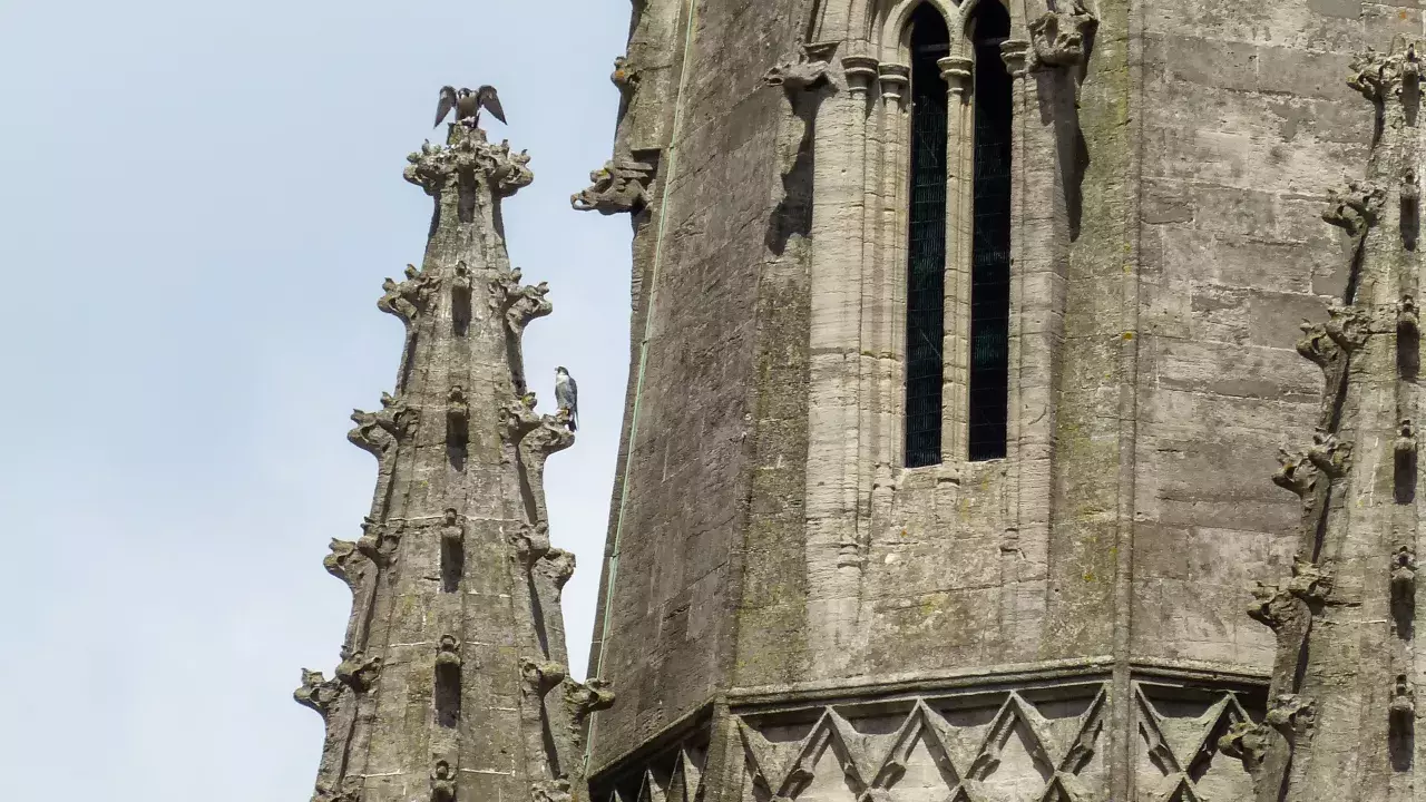 STORYNestingBoxesChichester(StewartBlackCC-BY-2.0)2