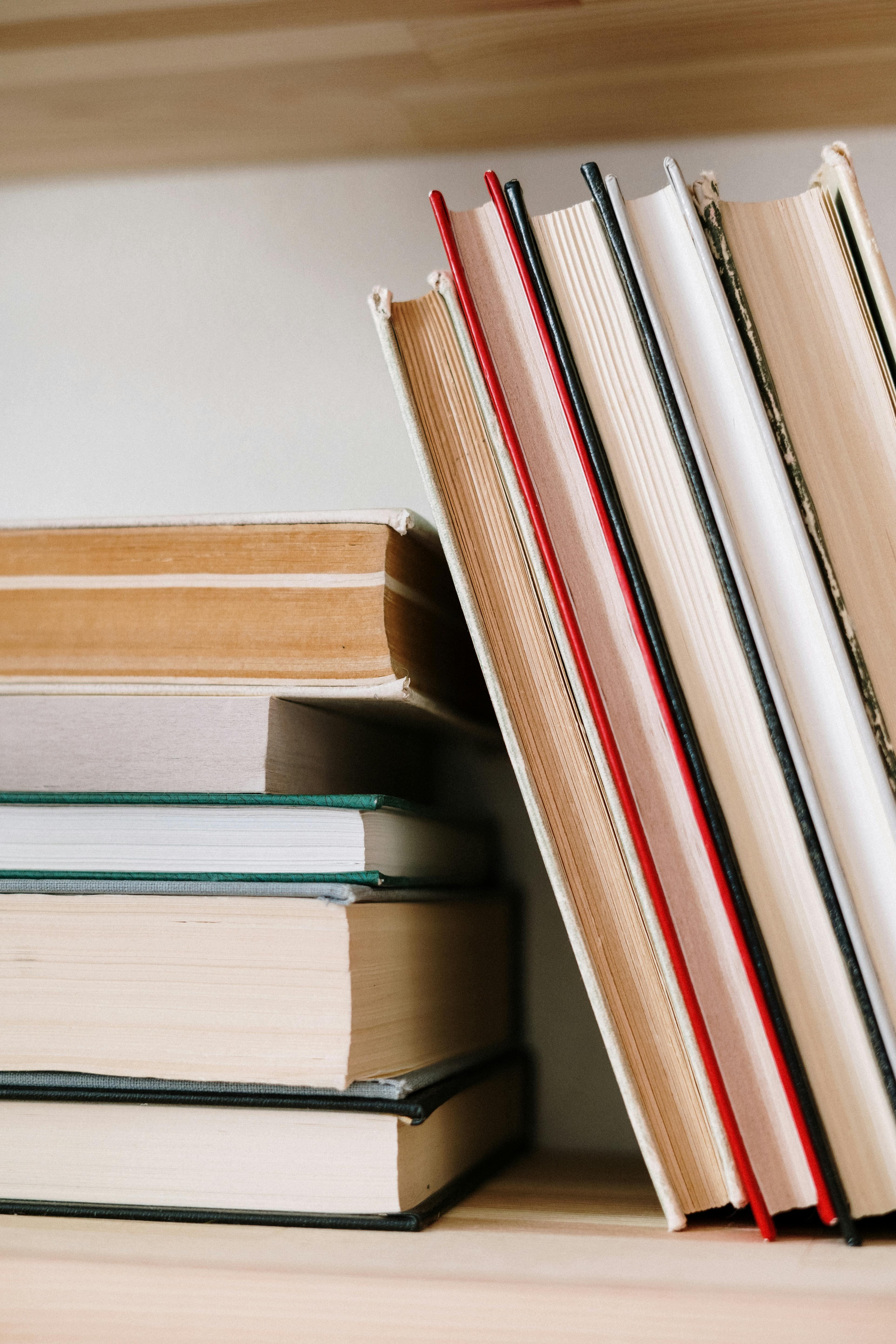 An image of some books on a shelf