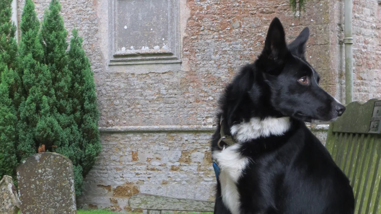 GloucestershireNORTHLEACHStPeterStPaul(CatharineKroonVOLUNTEER)24