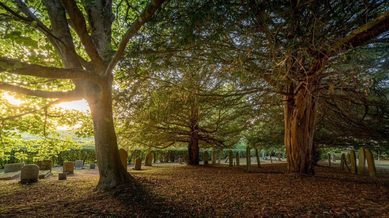 KentIDEHILLStMaryVirgin(DavidJennerPhotographyPERMISSIONBYEMAIL)4