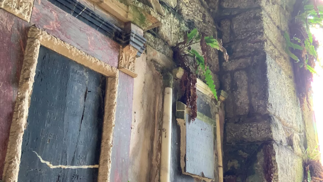 Green foliage grows among the stones in a church