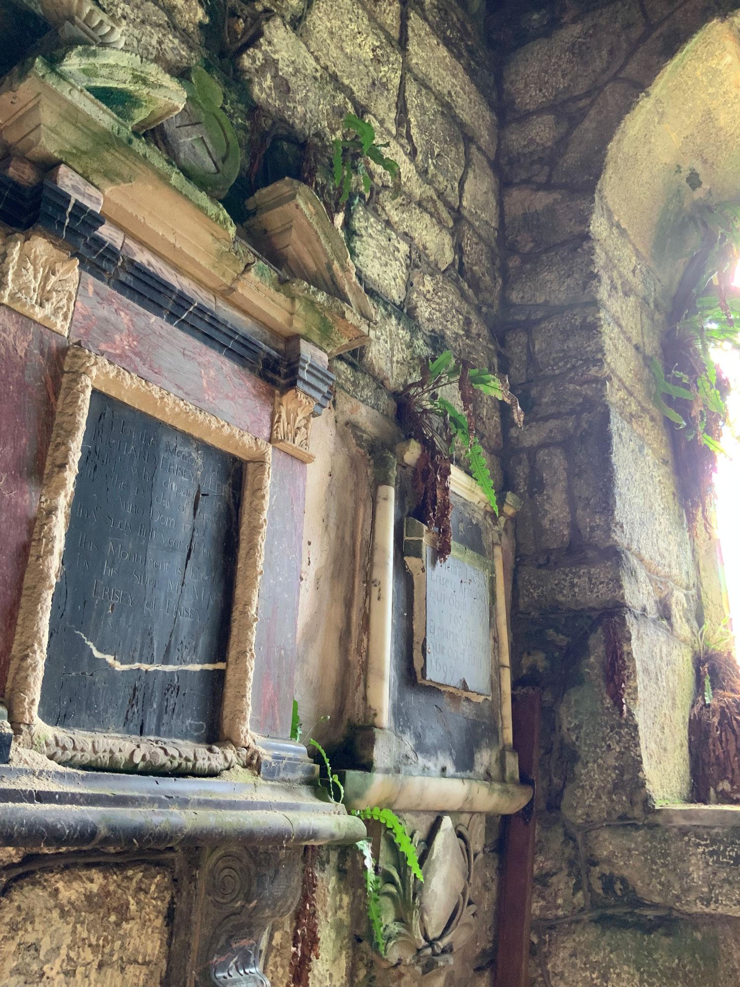 Green foliage grows among the stones in a church