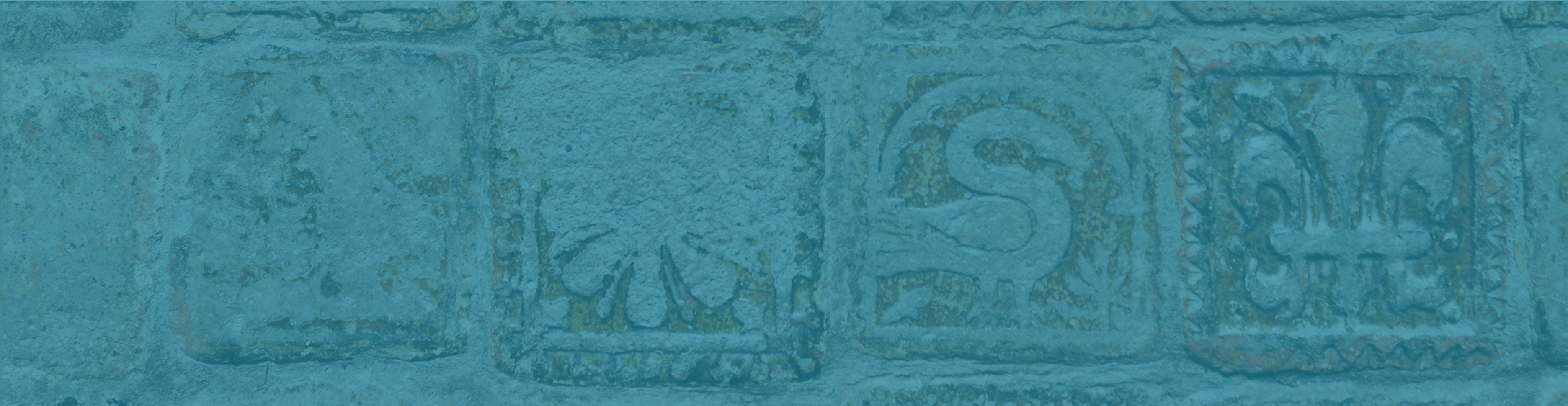 A beautiful green textured background