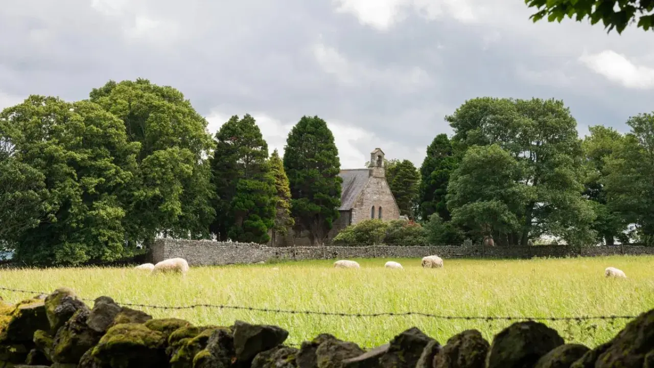 Sheep graze in a meadow outside a stone church