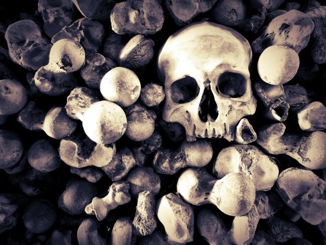 Skull and Bones, also known as The - For Those Who Sin