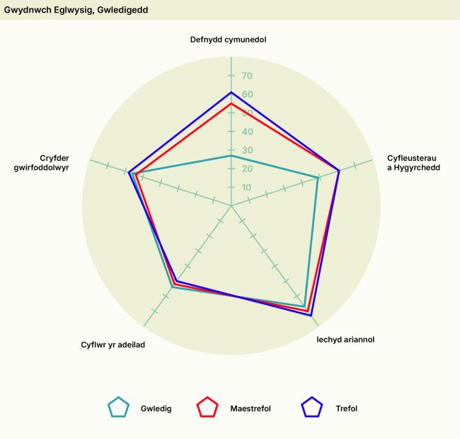 Spider diagram of church resilience by rurality